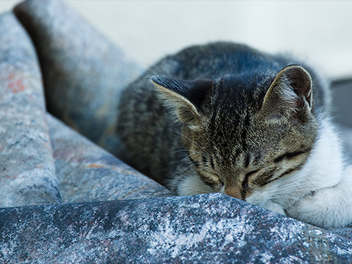 2012081502.jpg
